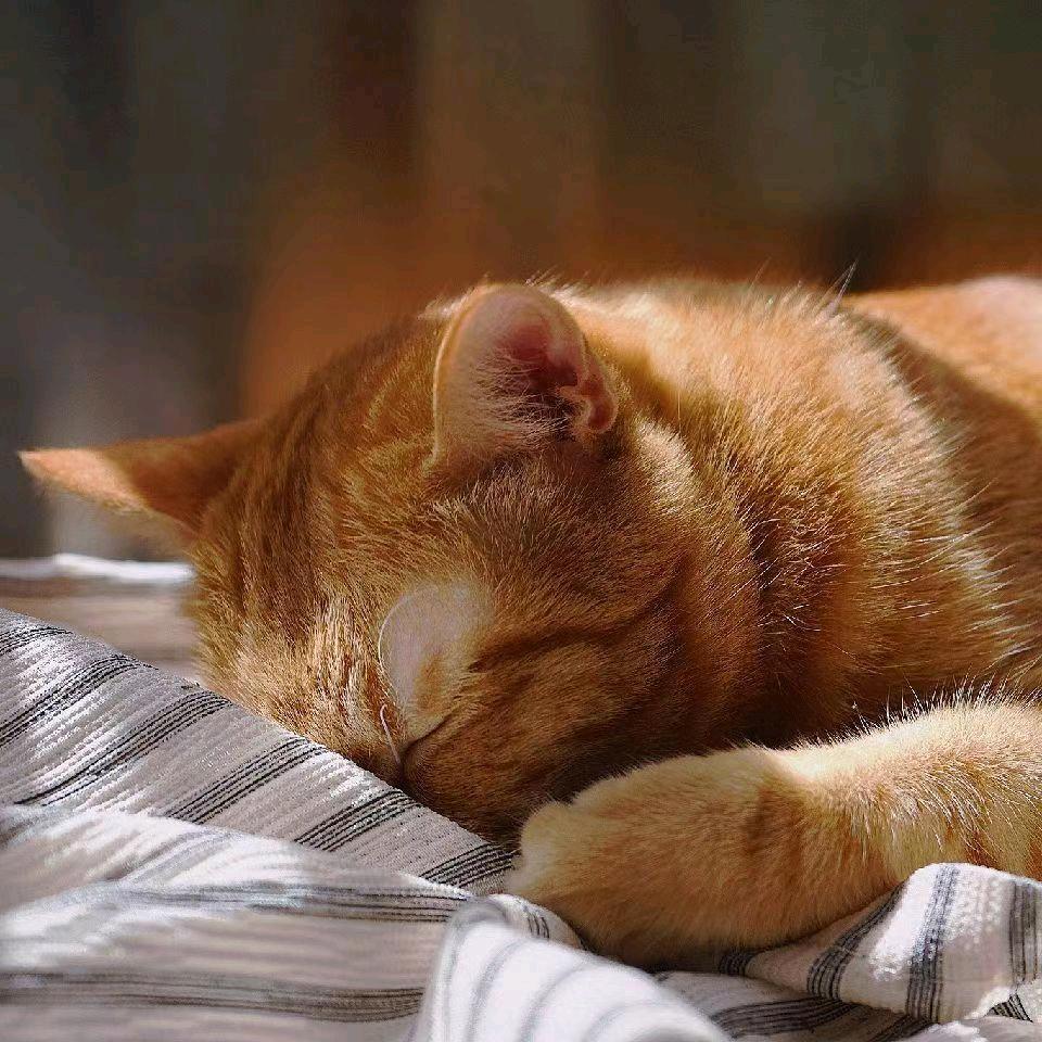 小程