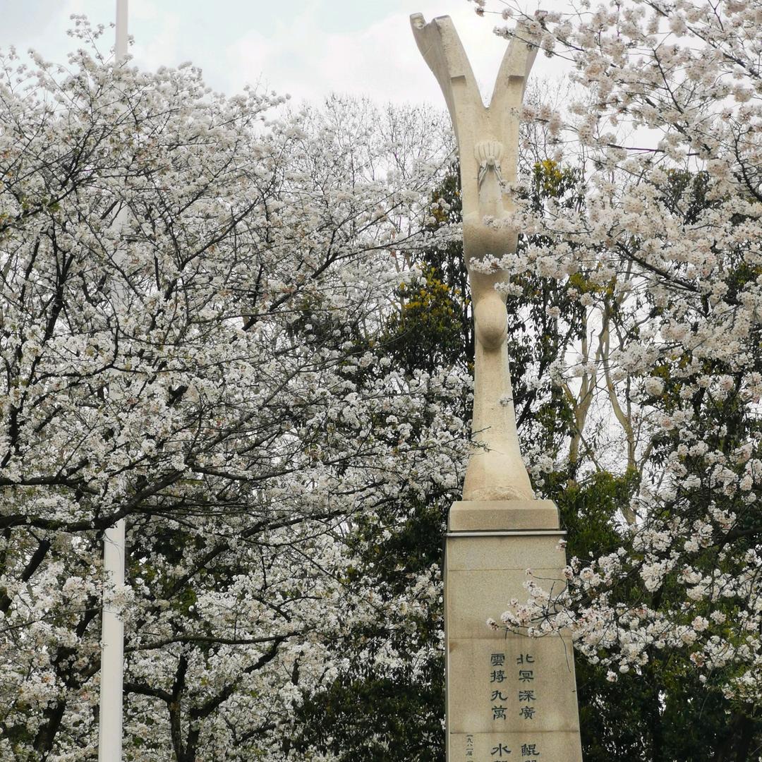 苦海无涯2739781290701王