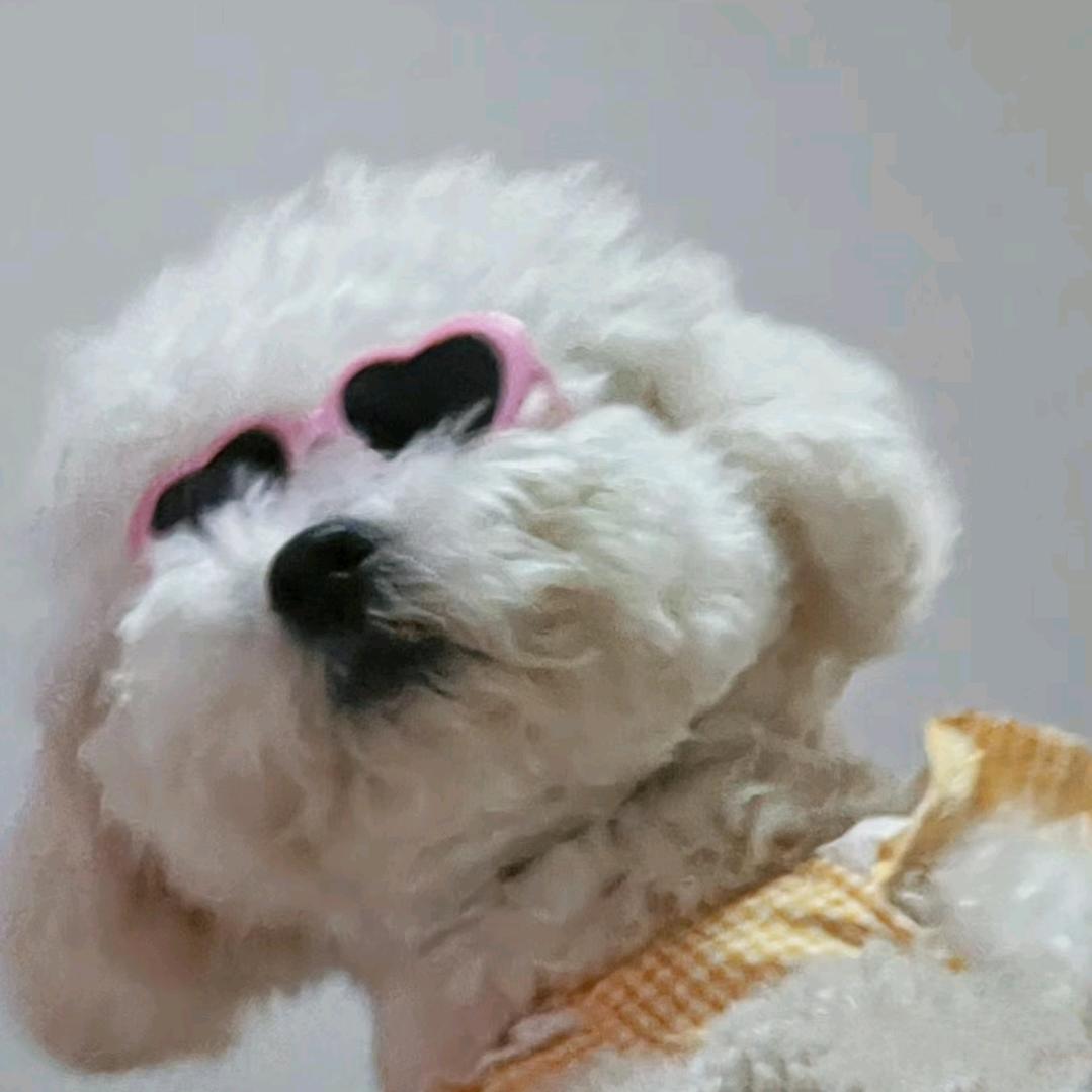 这个女人叫小美