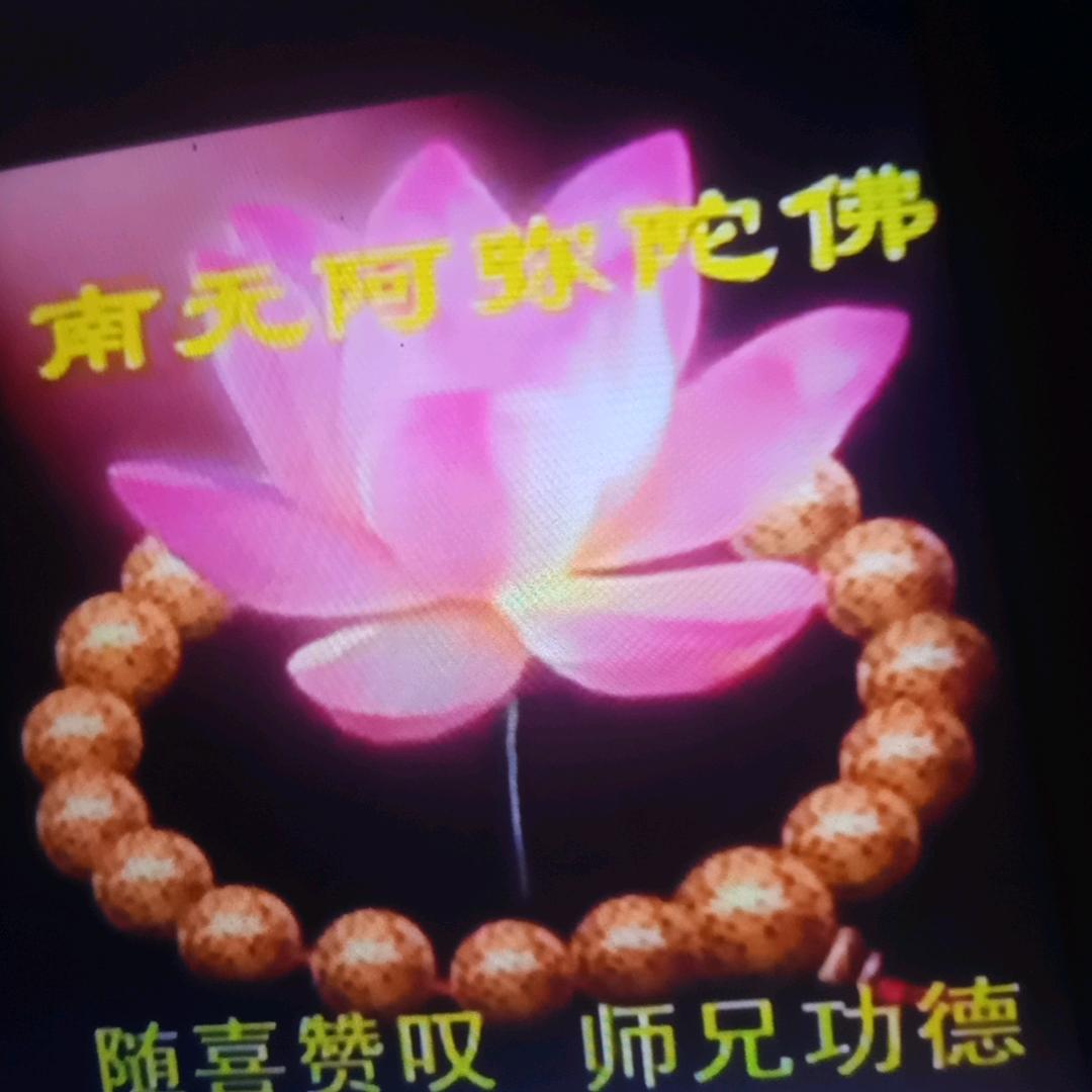 金莲花🙏🙏🙏🌹🌹🌹