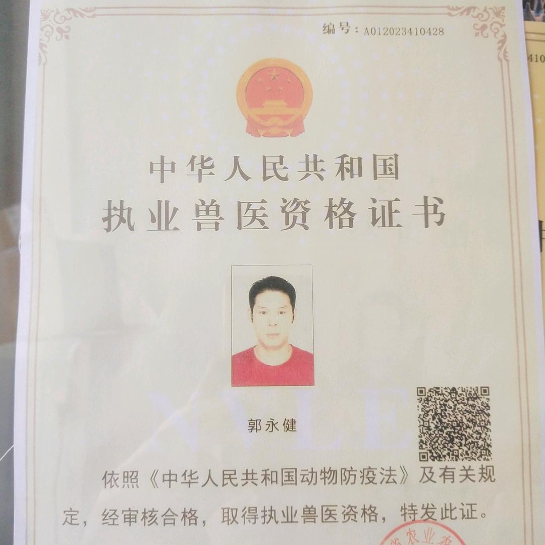 爱多宠物
