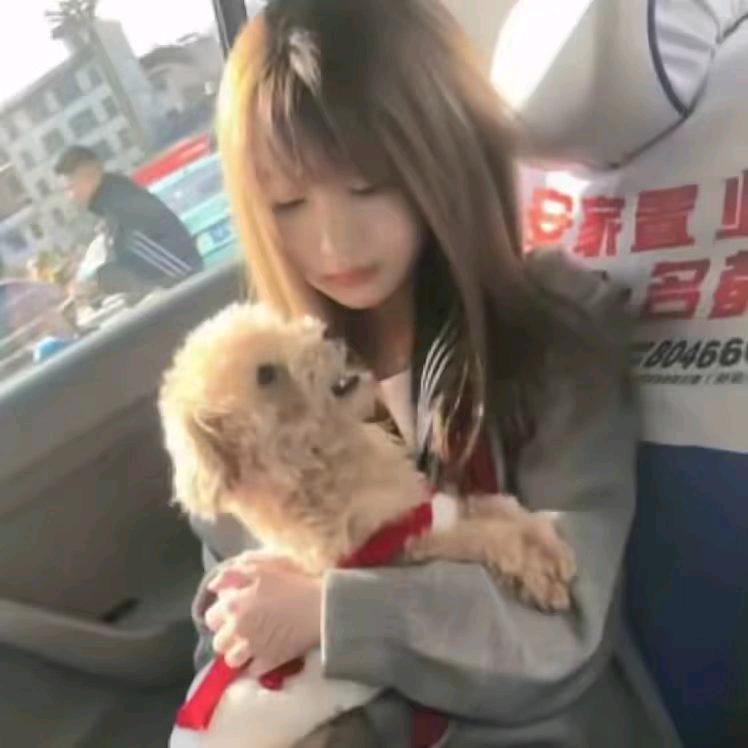 铁血无情的李文景头像