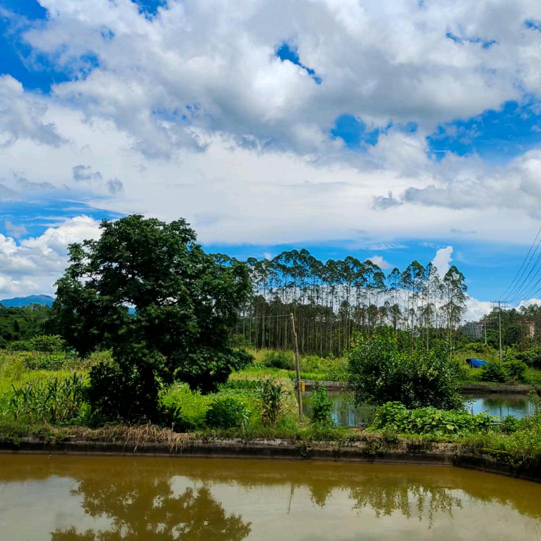 用微笑去看淡人生