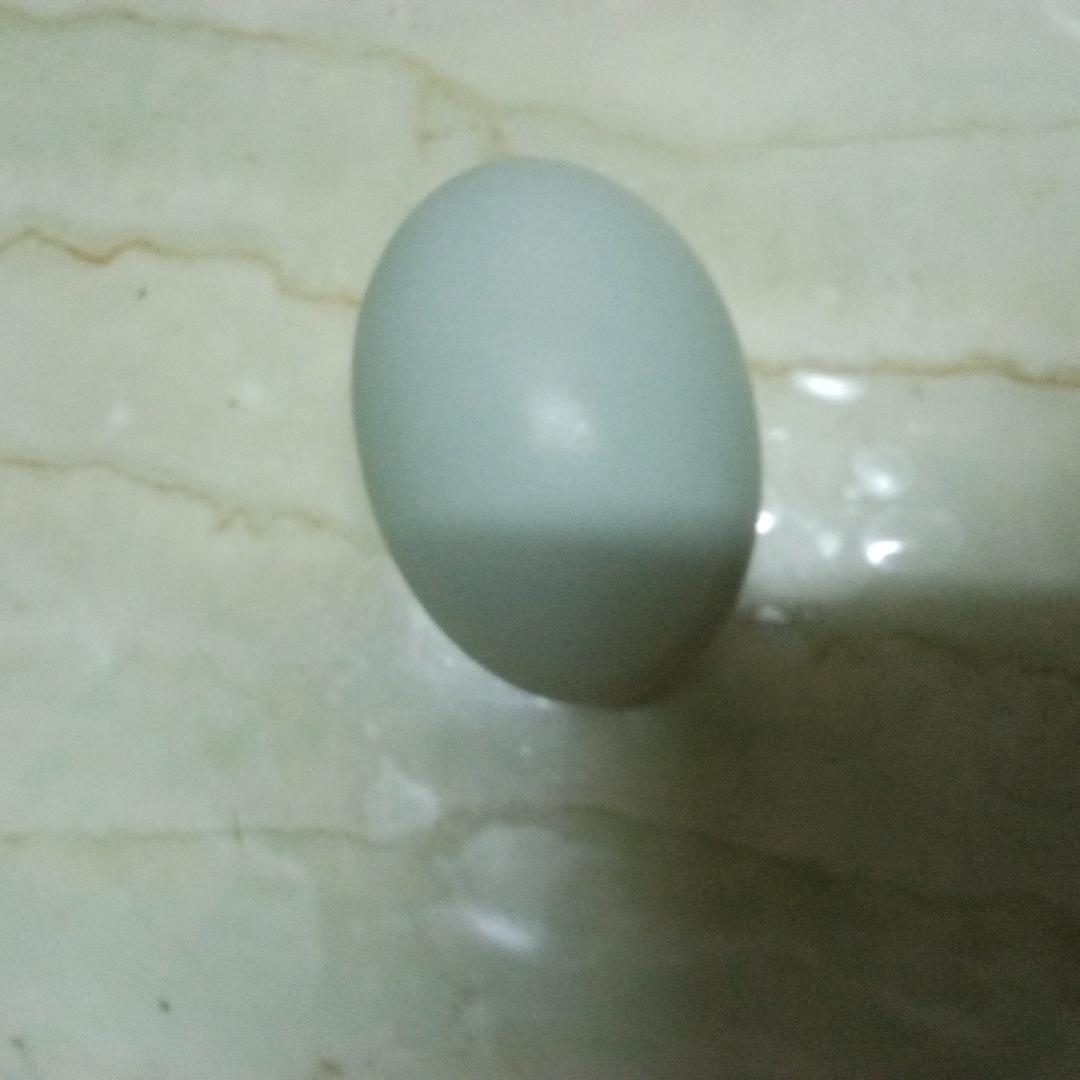 马明