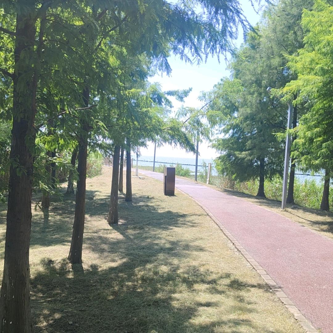 怡玲