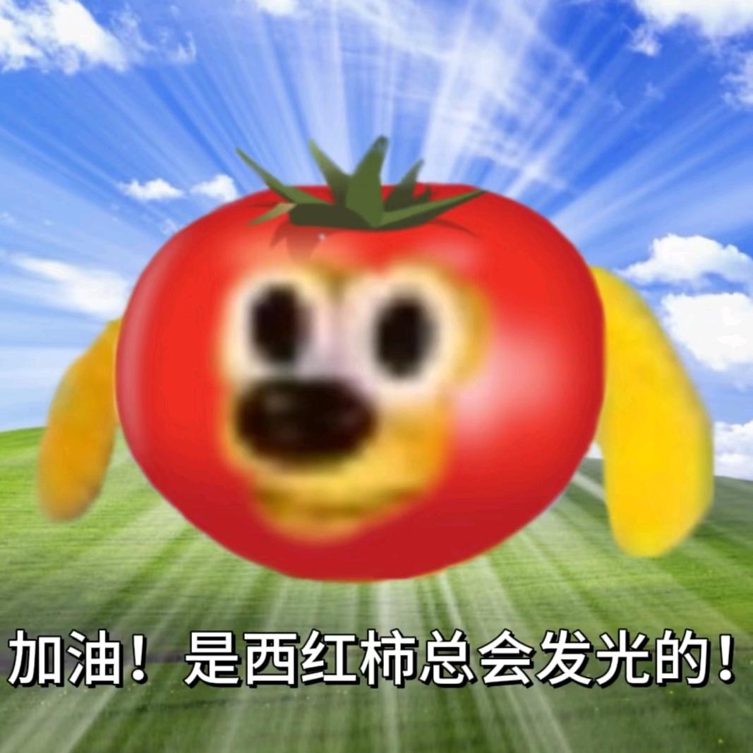 🍎🍎🍎🍎🍎