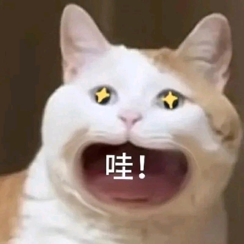 千千呀