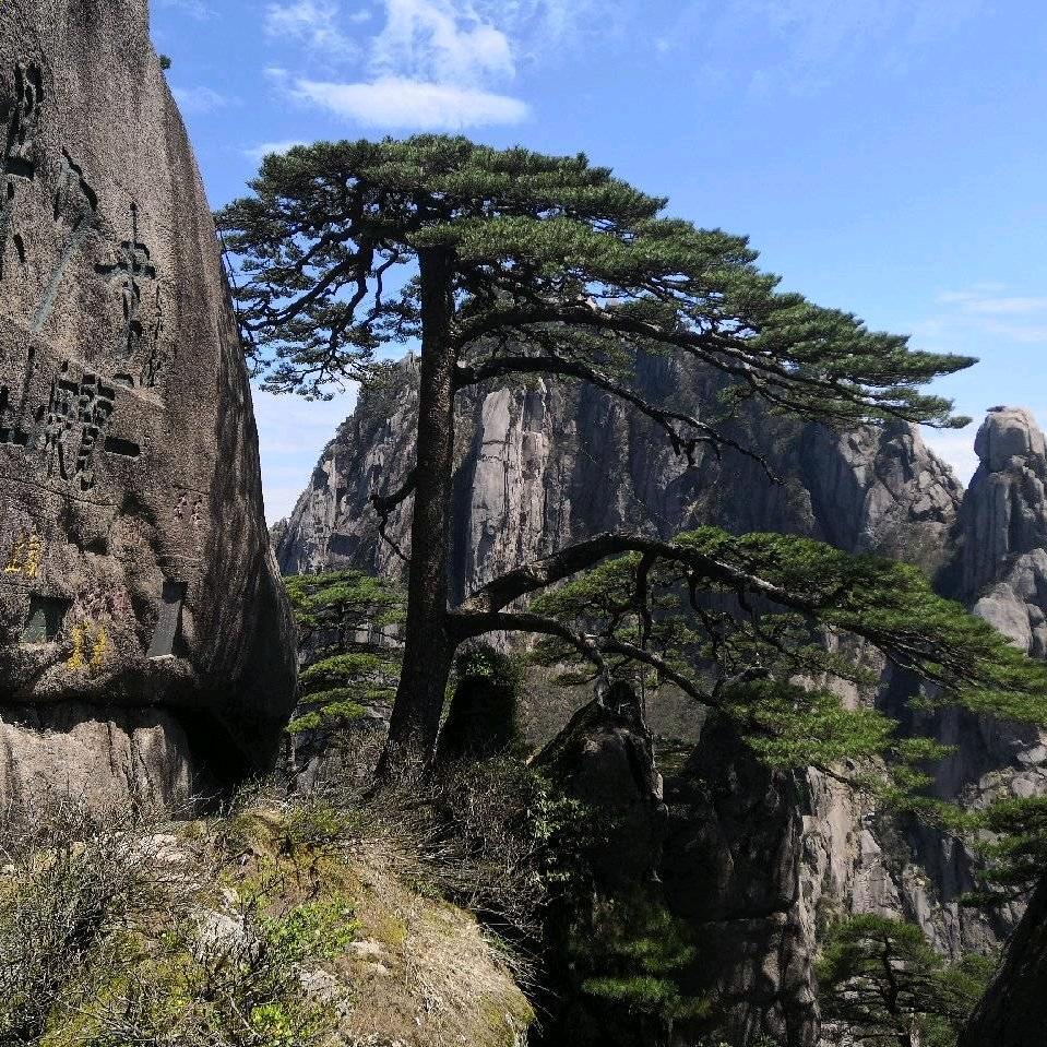 从不后悔（岳西）