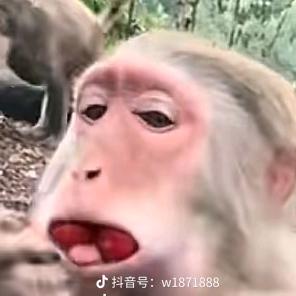 夜守初