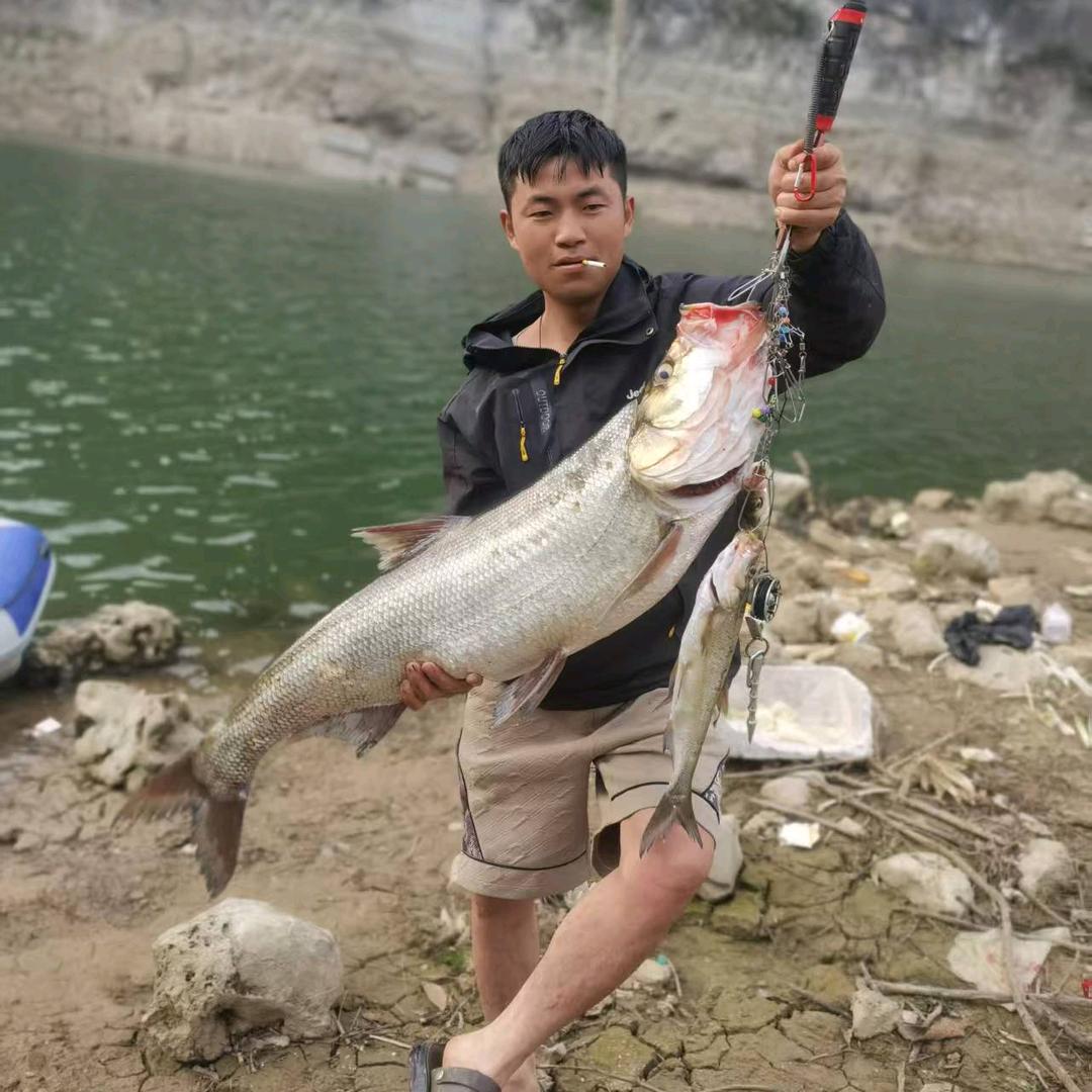 路亚王子