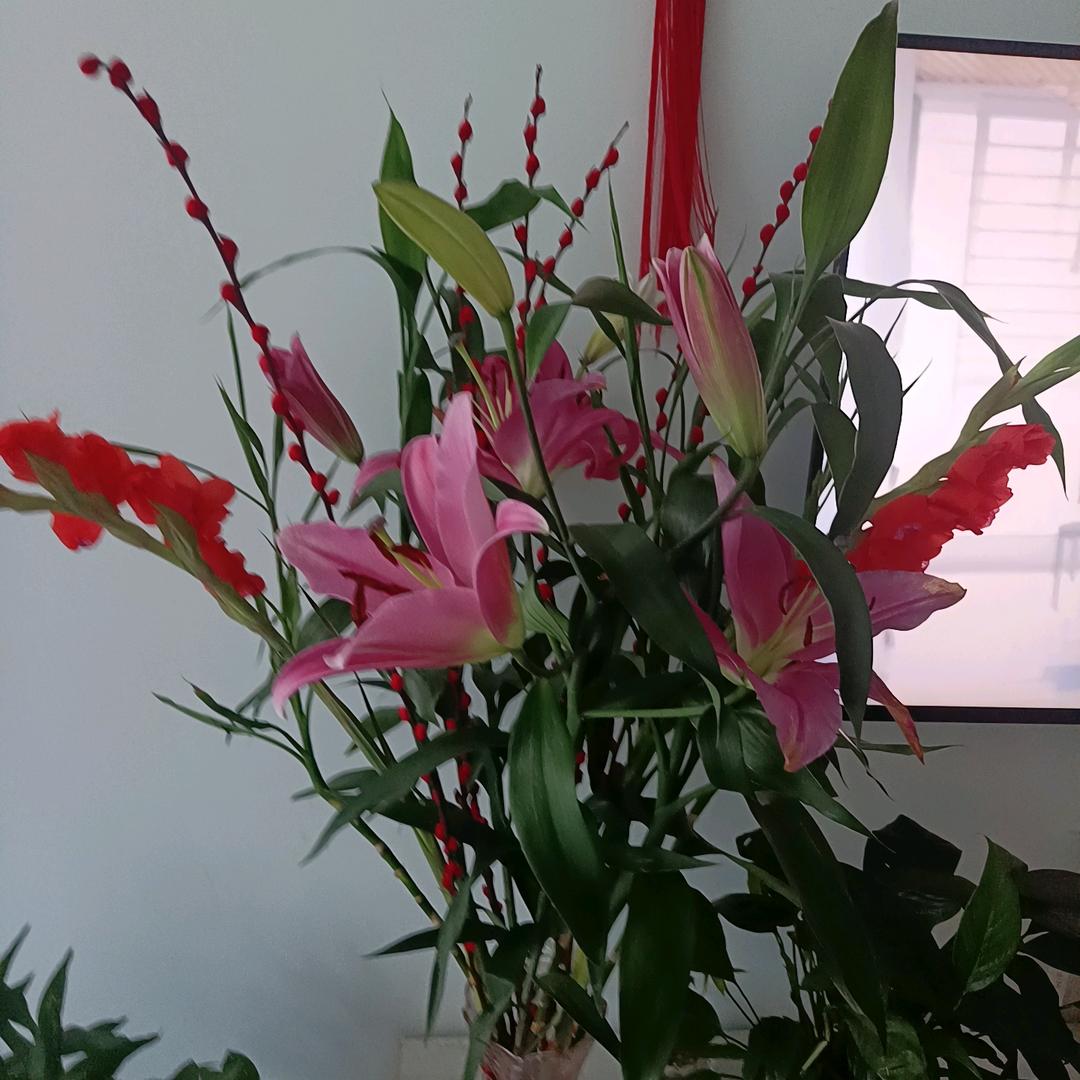 明天会更好。。。。。。