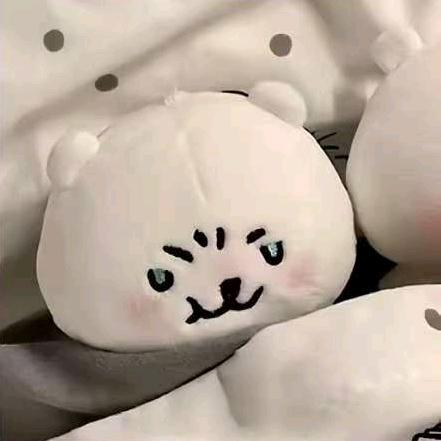 艾俊的第52根腿毛