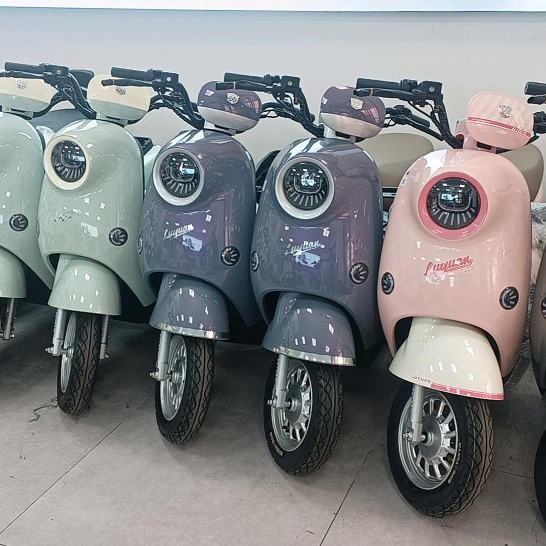 东莞绿源电动车（江记）
