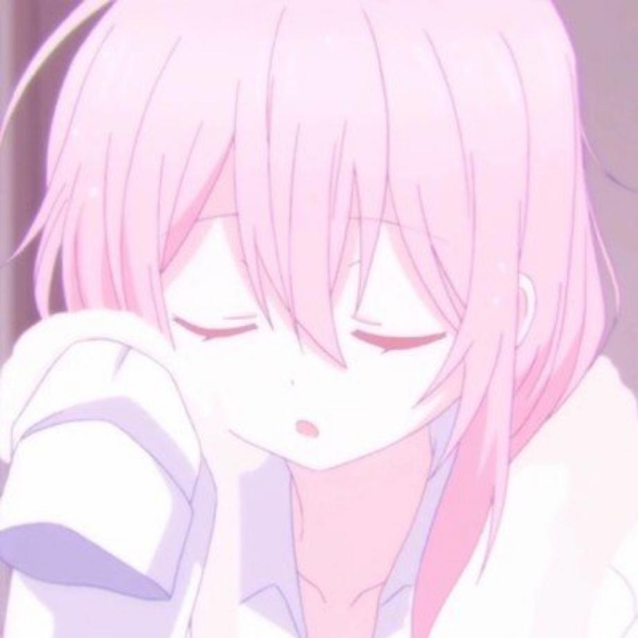 小谢6 (教程主页自取)