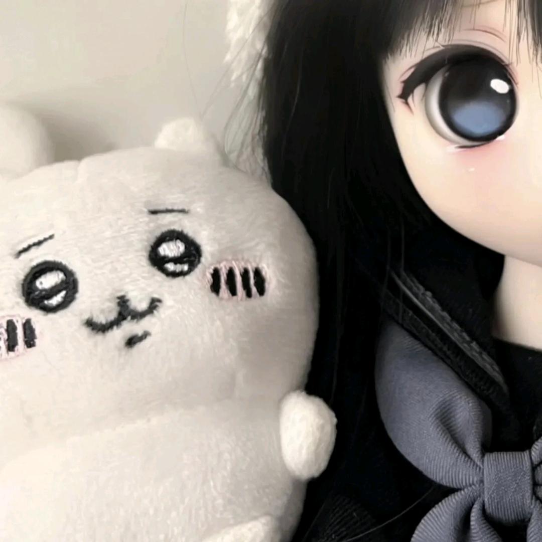 爱吃西红柿