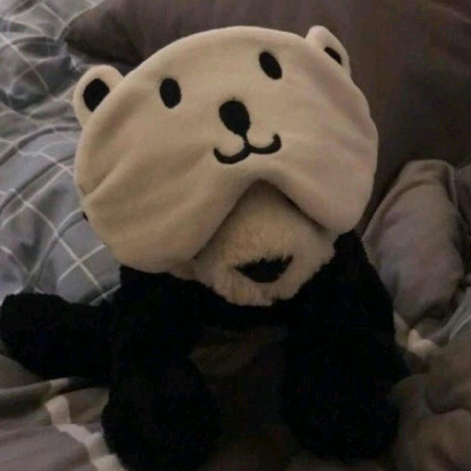 🐻小熊饼干🍪