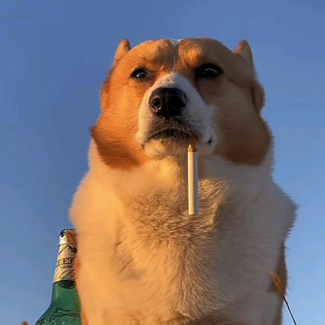 初洛