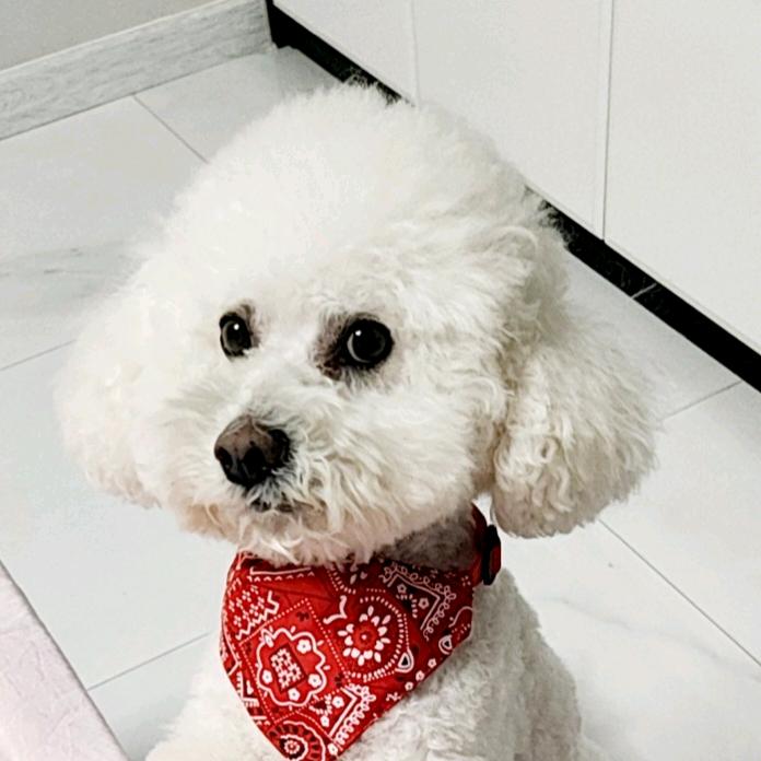 我最亲爱的老公