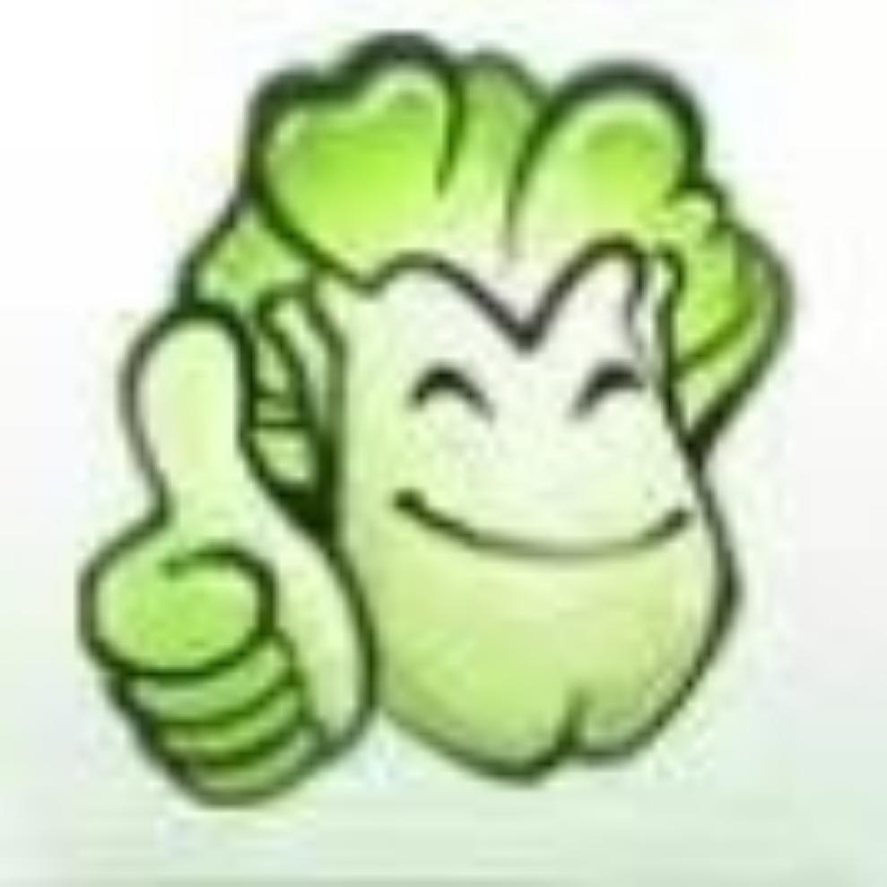 大白菜电脑