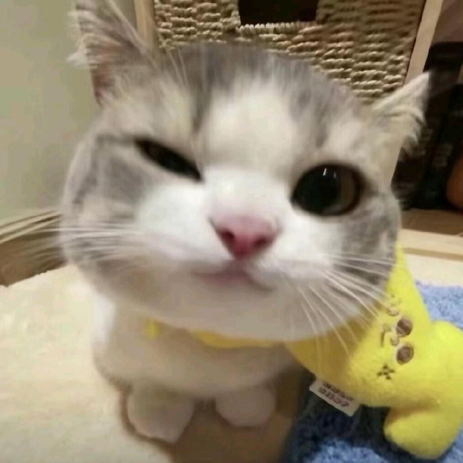 yyy