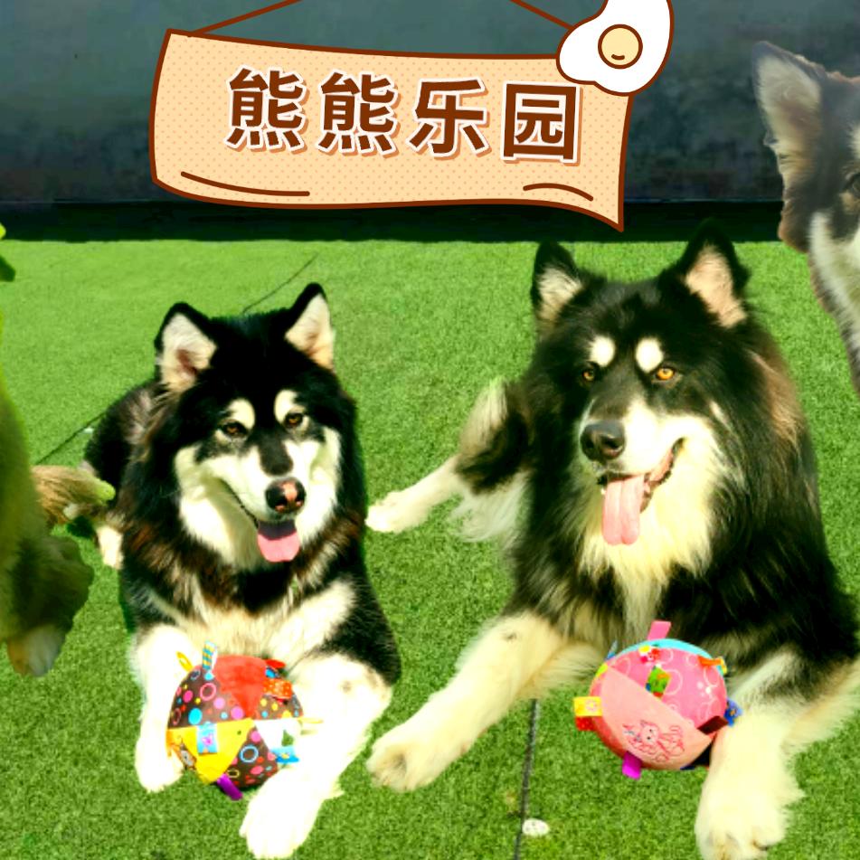 熊熊呀