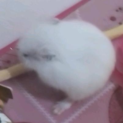 嗯😊