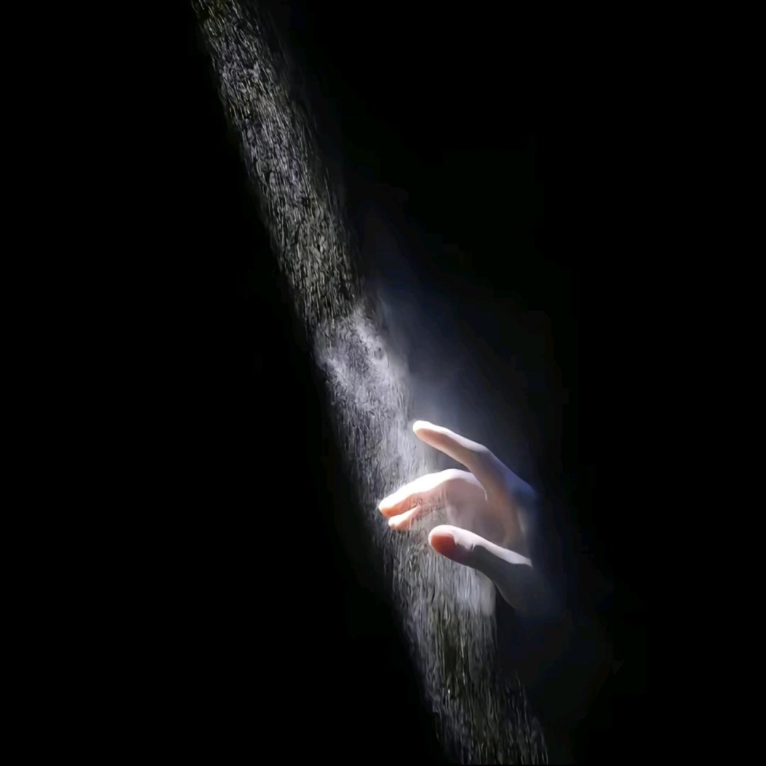 小飞哥