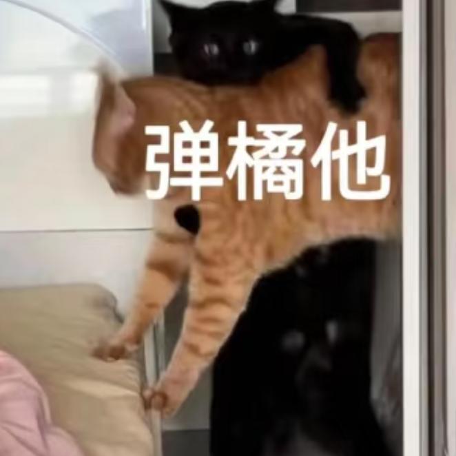 那倒霉蛋