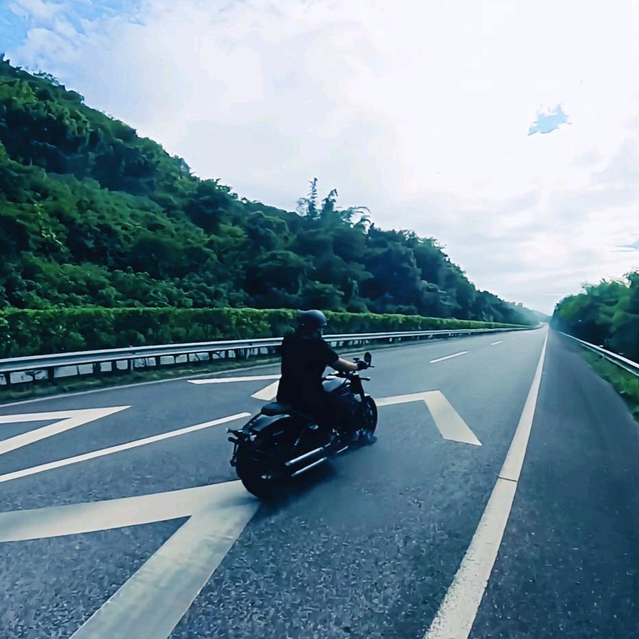 村头那条牛