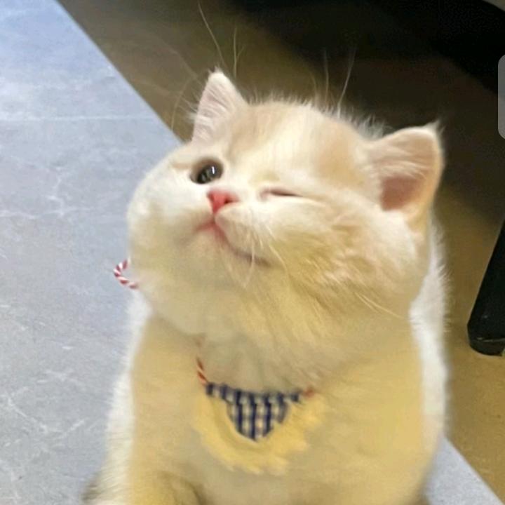 小科老师讲升学
