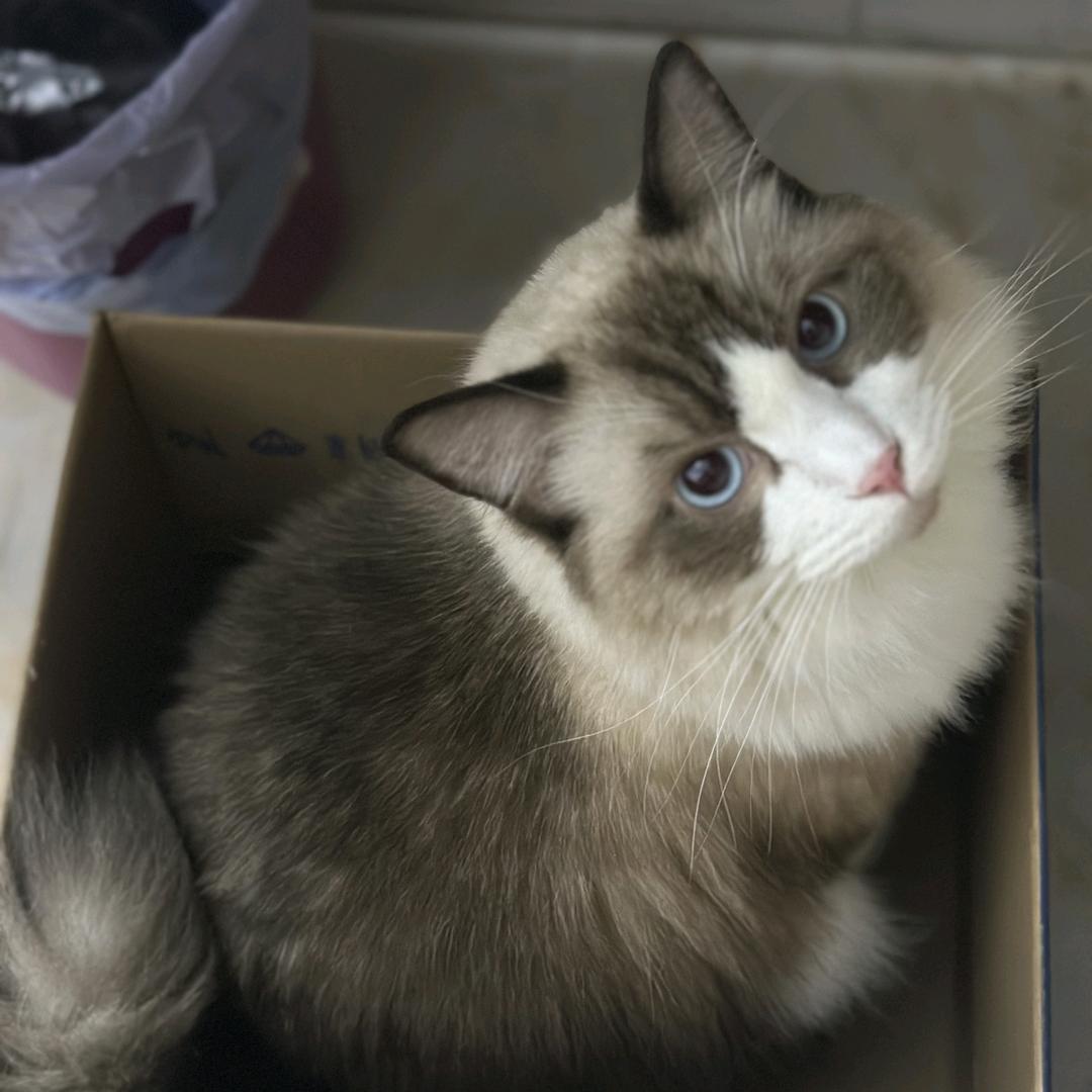 小湾姐