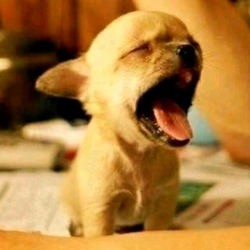 扛霸子中最靓的那个仔