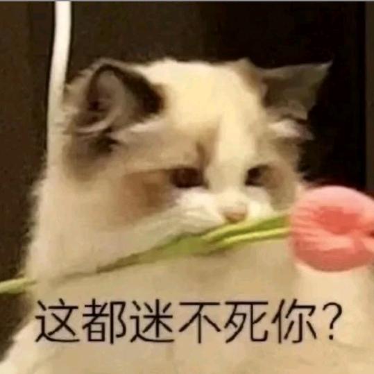 安姐