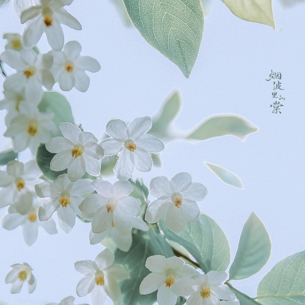 人生旅途
