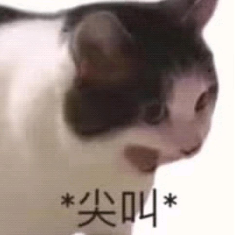 奶盖