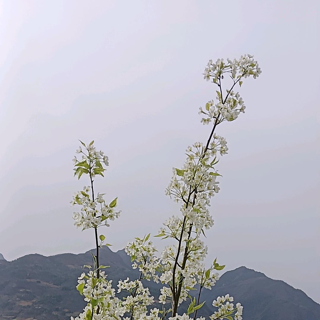 ྅好运༒连连