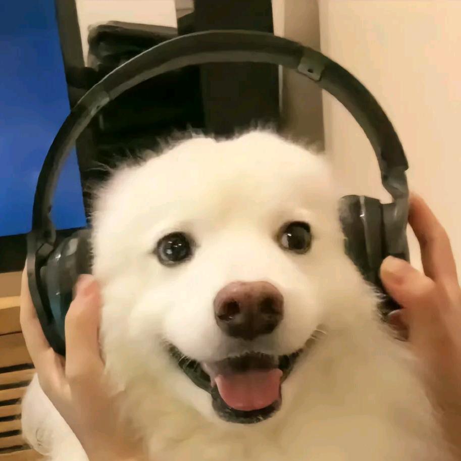 番茄沙拉炸鸡🎸🛰️