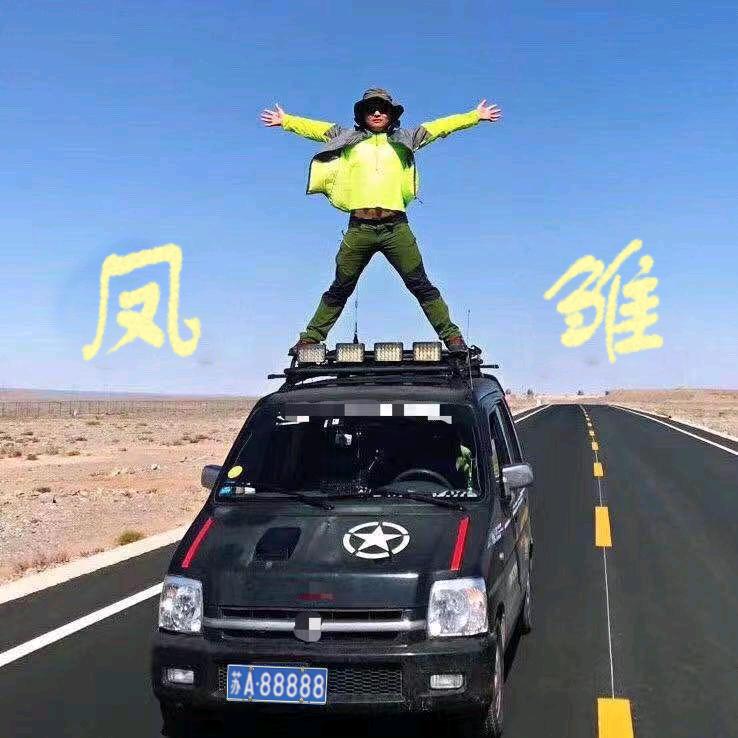 凤雏