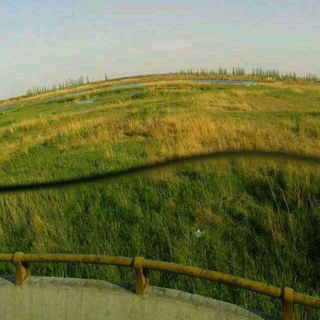 走在多年维权的路上