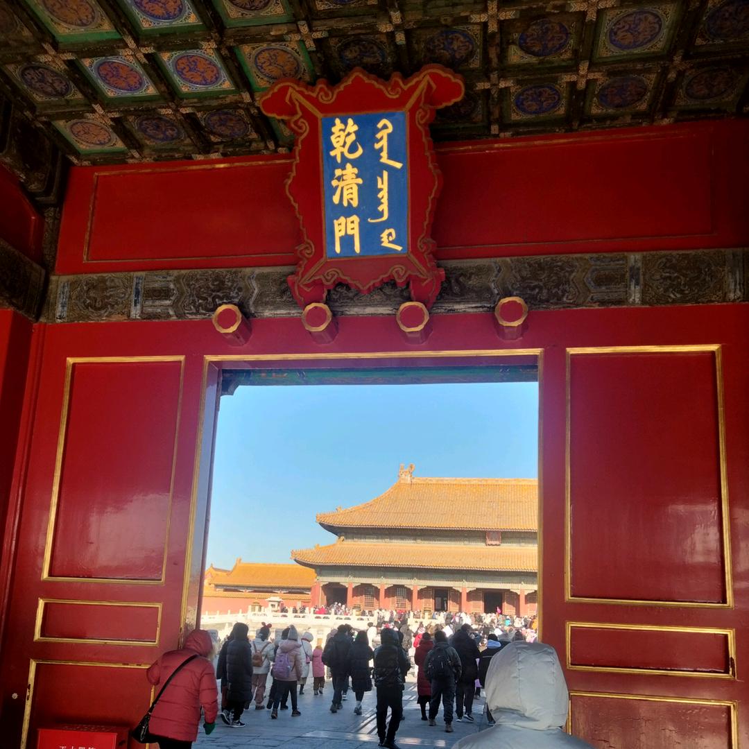 波波迪