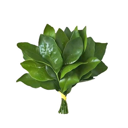 夫人