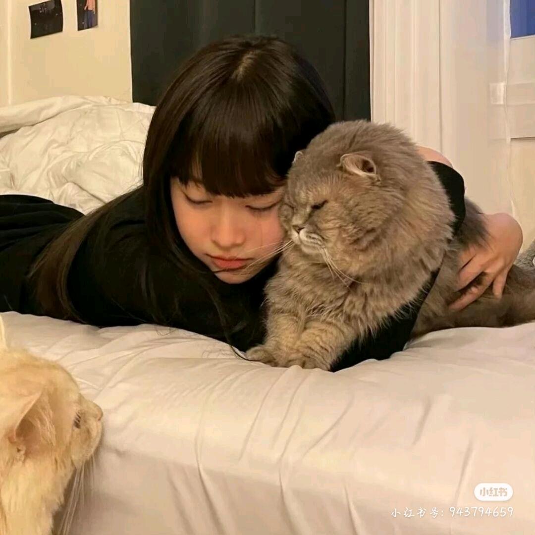 。。
