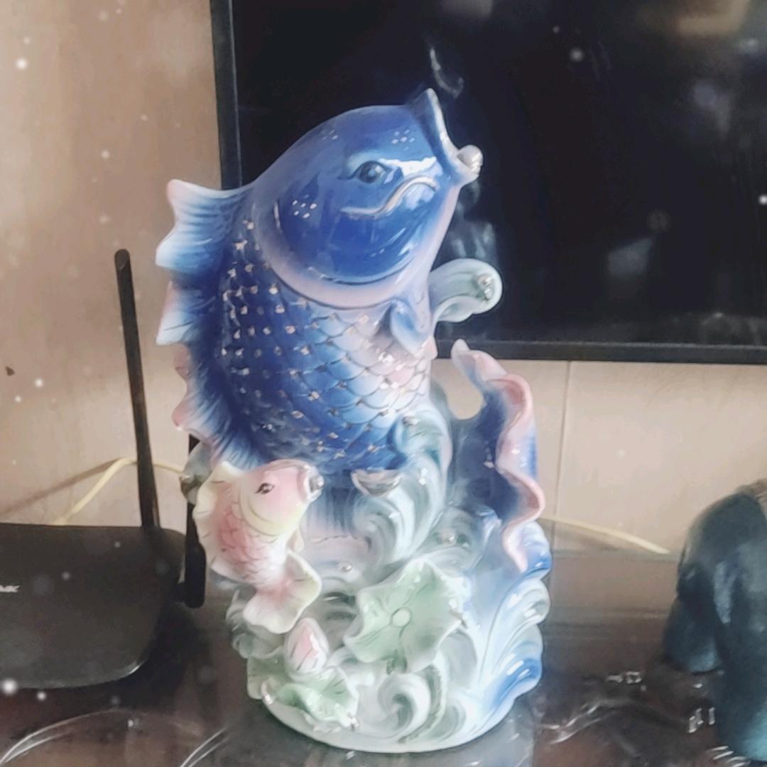 锦鲤崛起