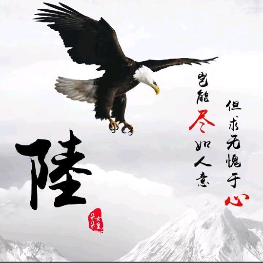 陆先生