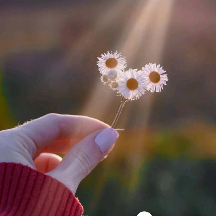 春风十里，不如悦己！