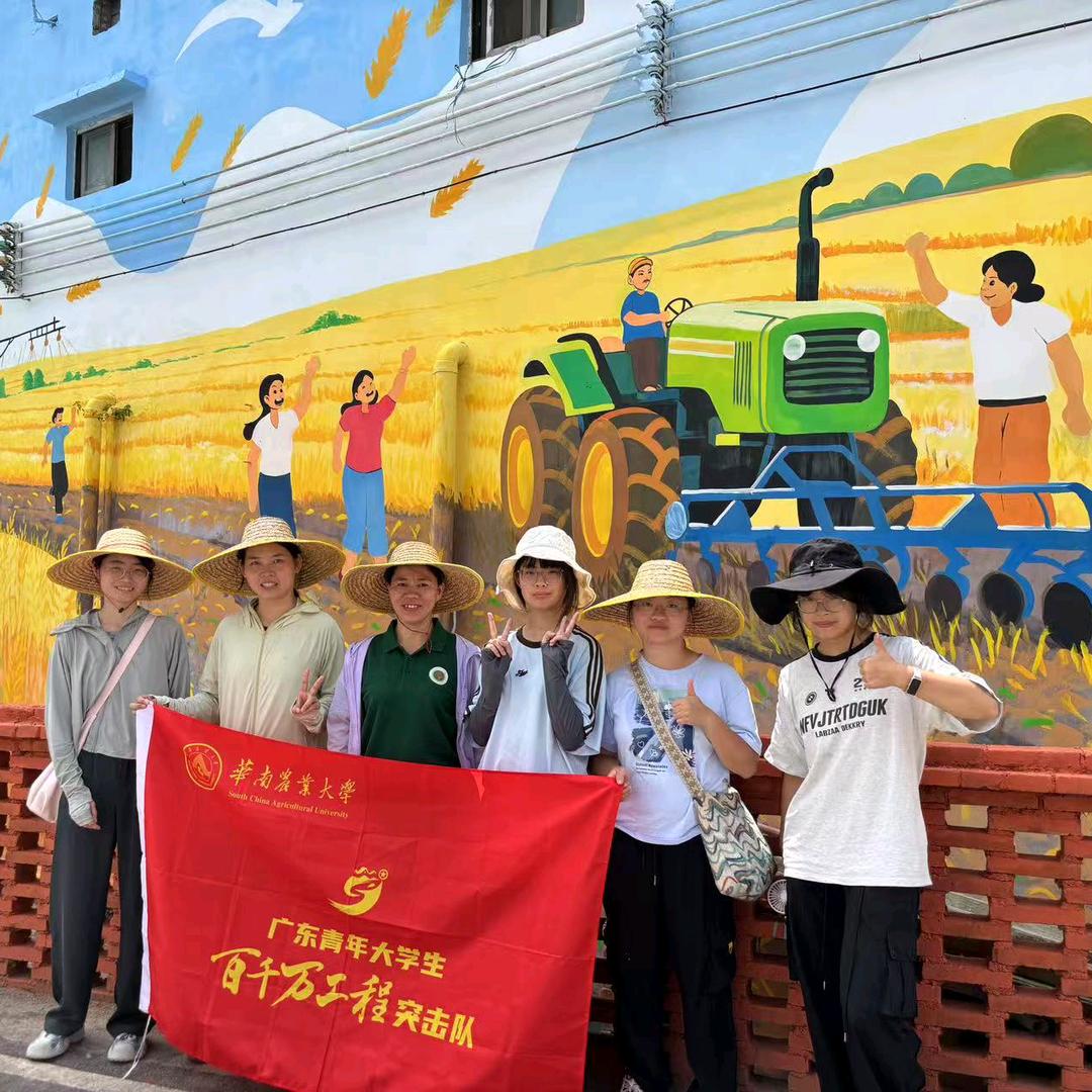 智联沙田助农团(三下乡版)