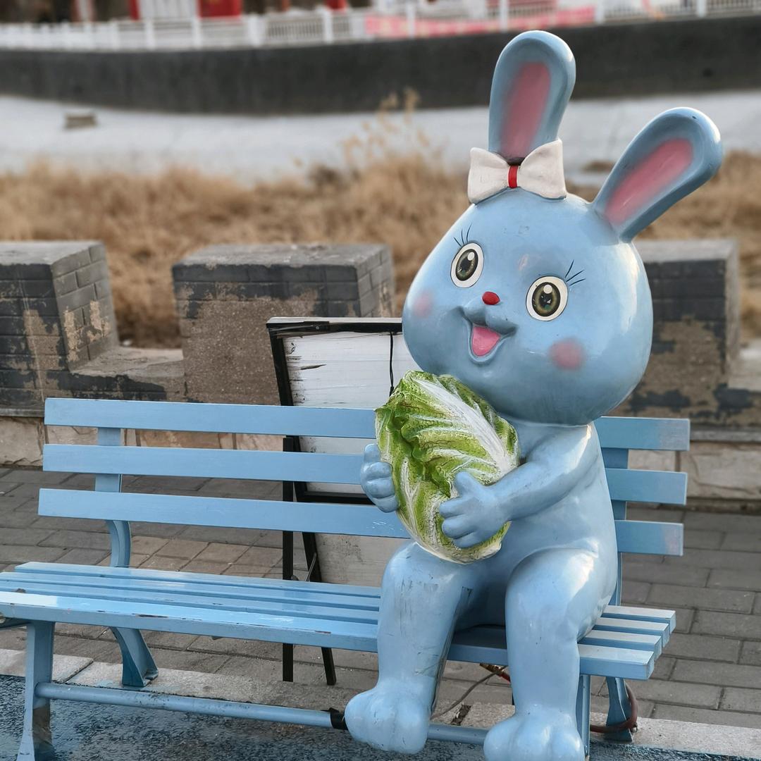 爱吃白菜的兔兔