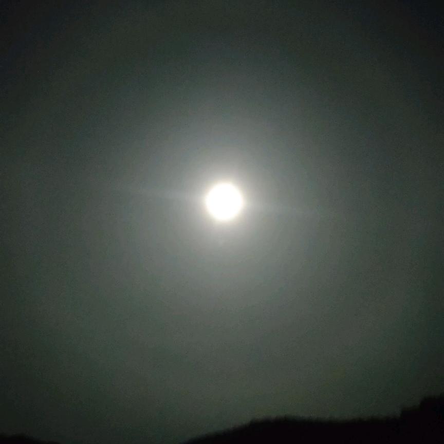 的策