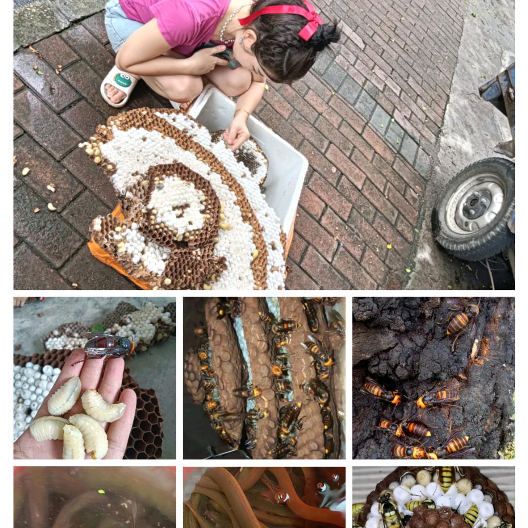 桥友特色食材贵州人在东莞深圳，