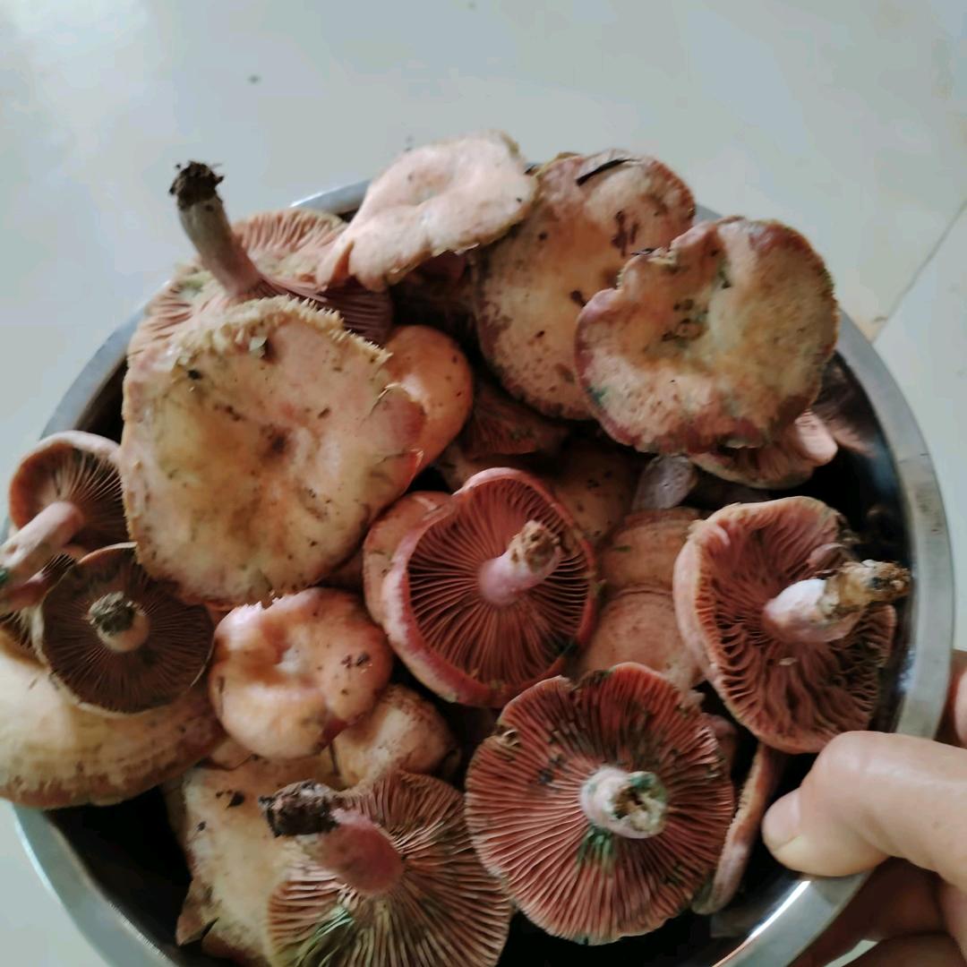 爱你呦